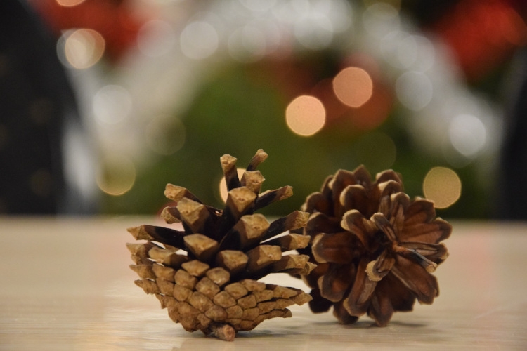 Notre Marché de Noël revient